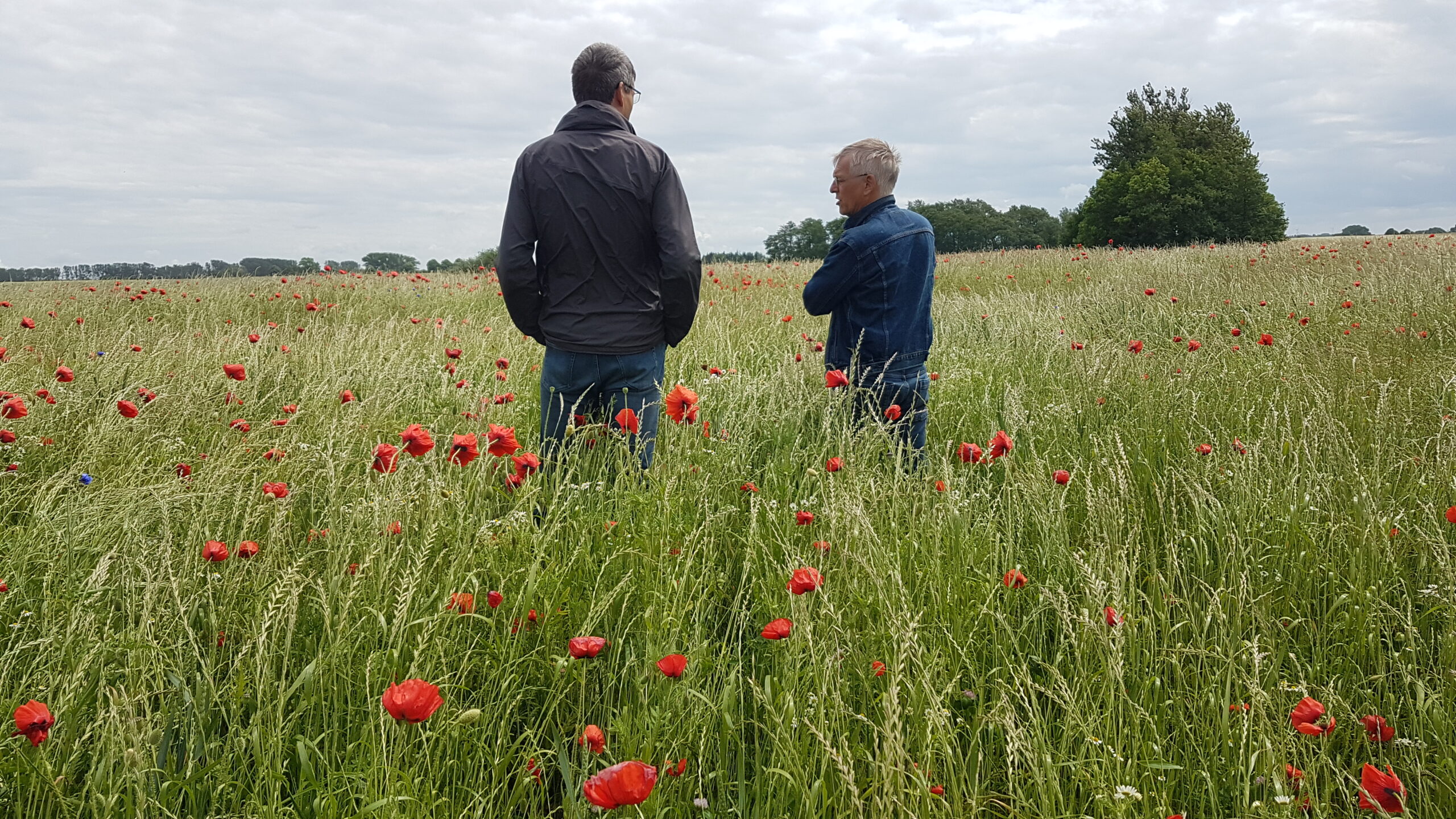 Uli biolandberater acker original