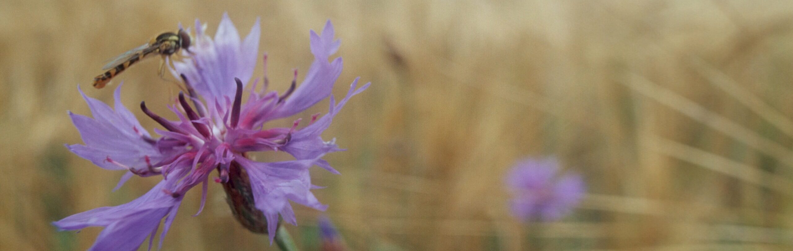 Michael Loitz Kuechenworkshop Dokumentation High Res