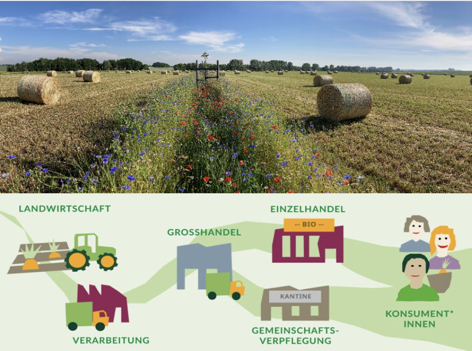 Bildschirmfoto 2025 12 05 um 14.29.35