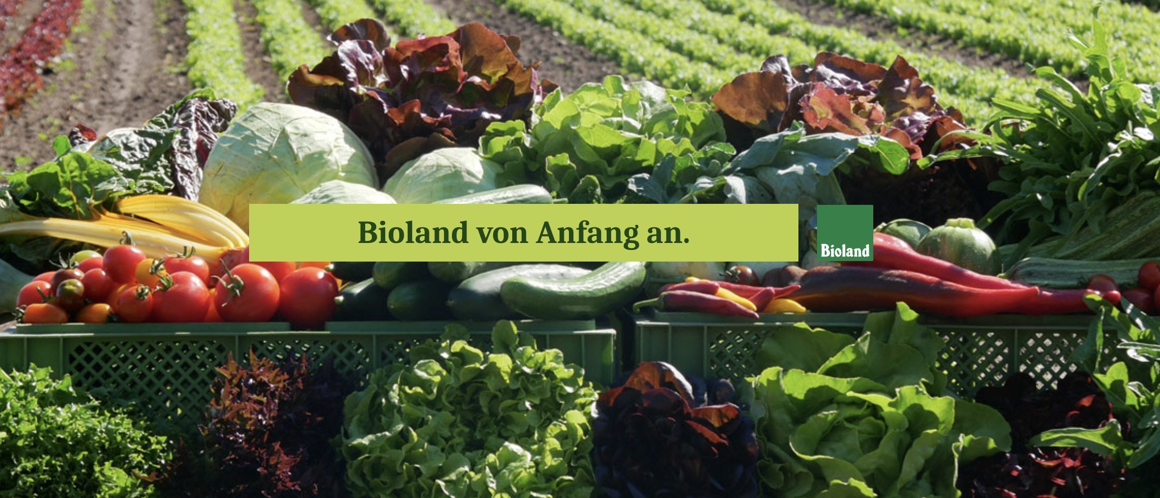 Biogärtnerei Watzkendorf GmbH