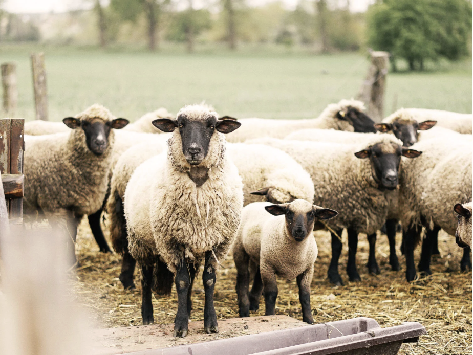 Bildschirmfoto 2025 12 09 um 16.26.19