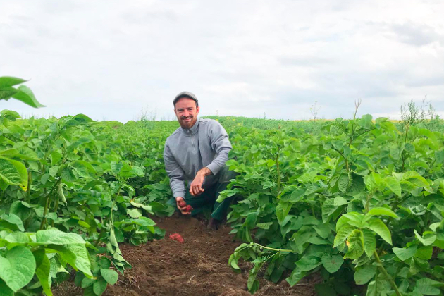 David Kartoffelfeld 630x420