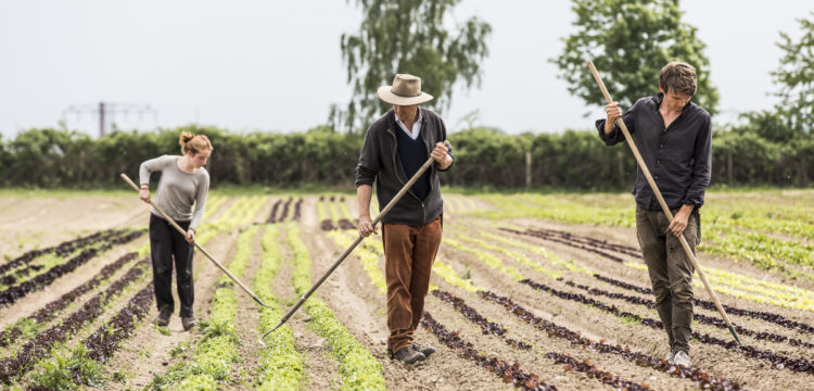 20160518 med 1088 750x360