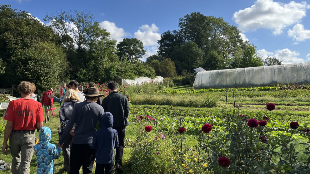Bild gaertnerhof himmelunderde