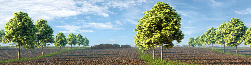 Csm Biohof Garvshuehlen web Bilder Folgeseiten Presse 8c0ab17224