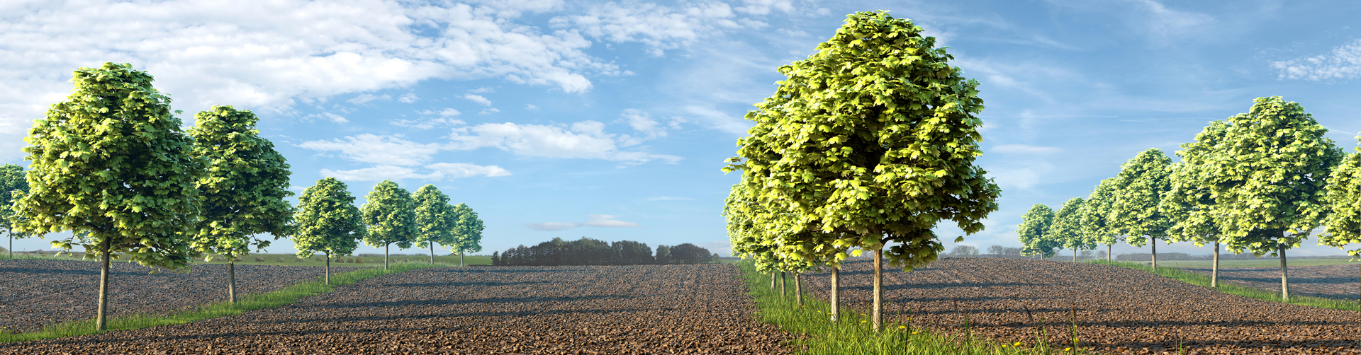 Biohof Garvsmühlen KG
