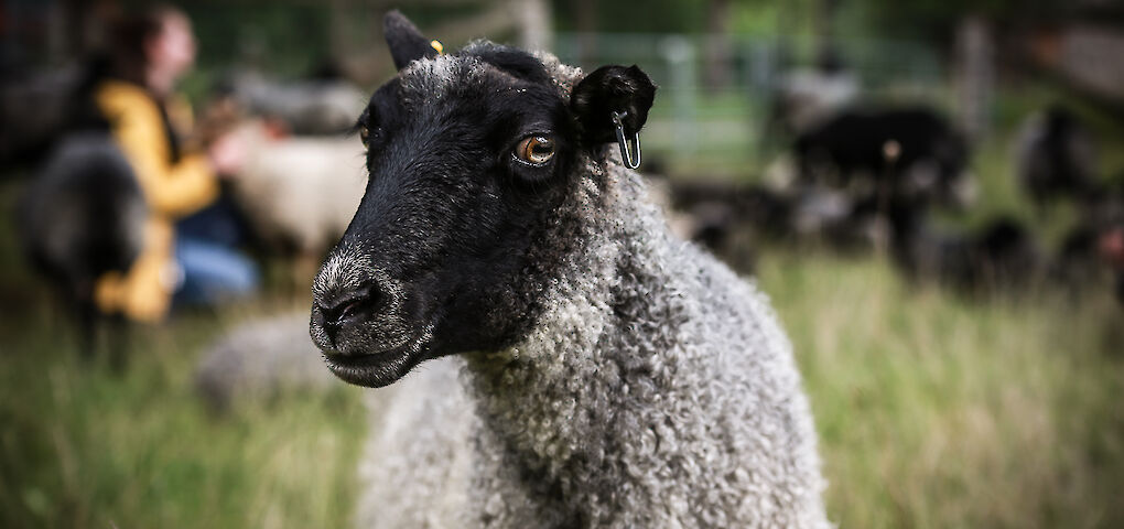 Steffi lenzen c andreas winter 18.1020x480