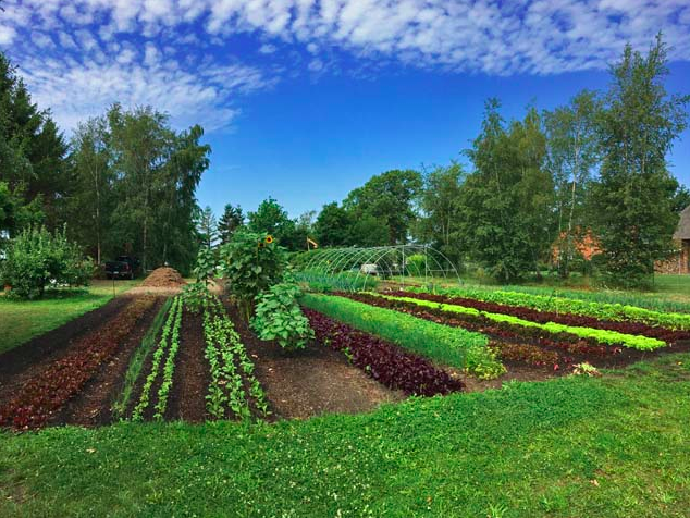 03.01.09 Die Standgärtner Beet
